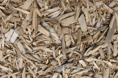 biomass boilers Dolydd